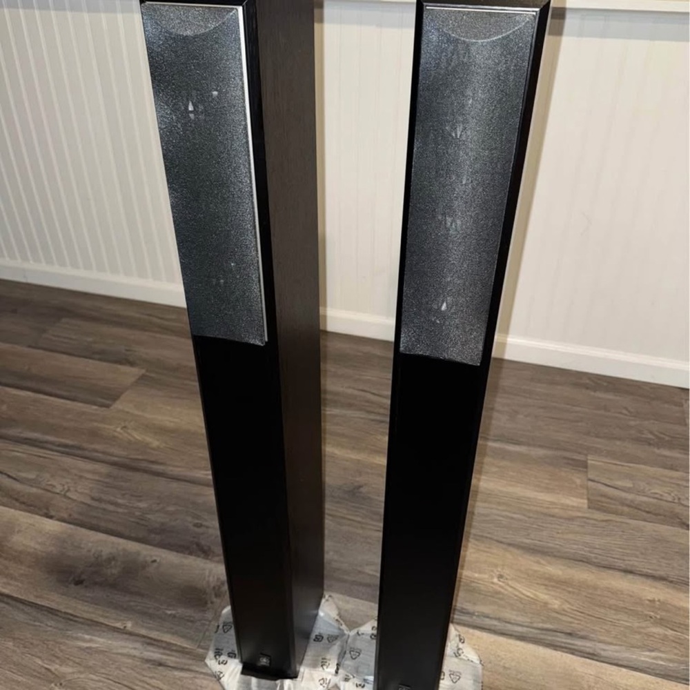 Black Floor Standing Speakers